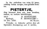 Hoogvliet Pietertje-NBC-16-12-1880  (nn).jpg